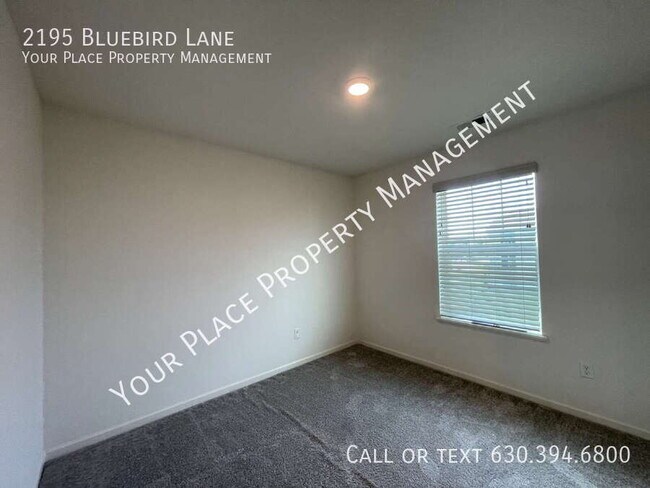 Building Photo - 2195 Bluebird Ln