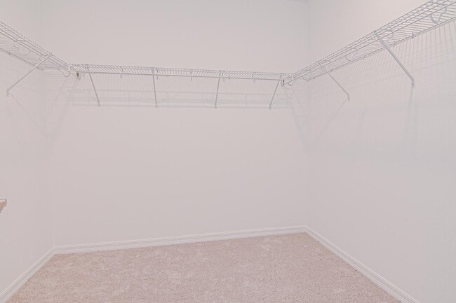 Building Photo - 4744 Babys Breath Pl