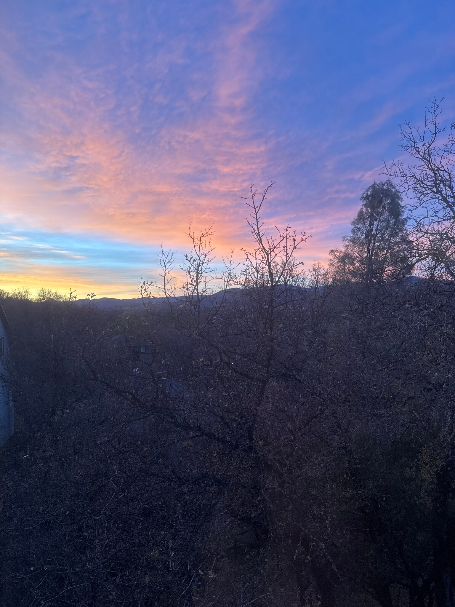 Building Photo - 16060 39th Ave