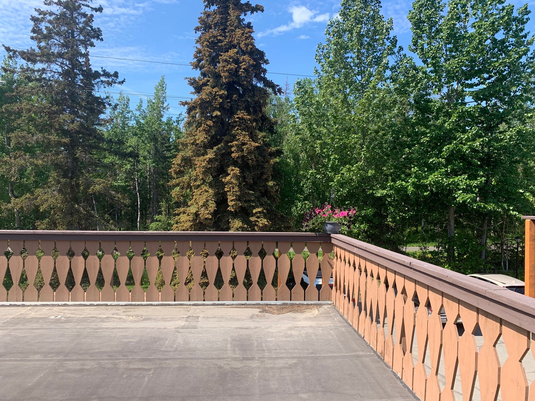 Top of Deck - 4806 Mills Dr