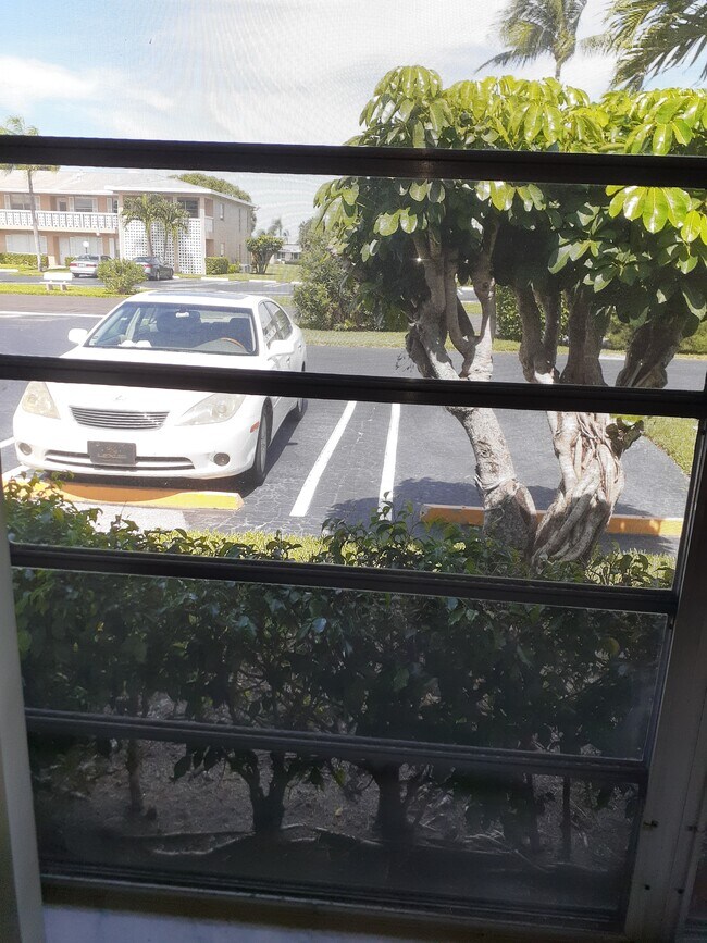 Building Photo - 1111 Boxwood Dr