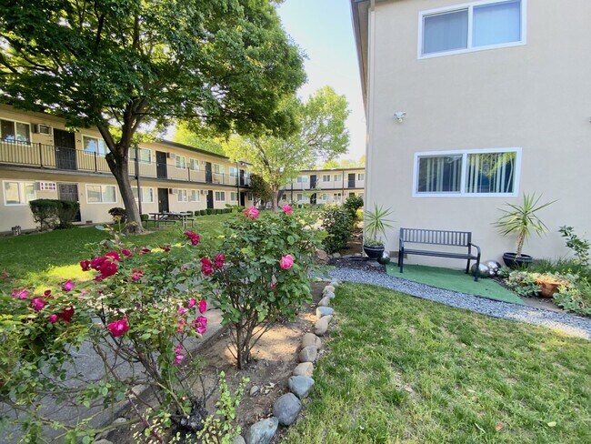 Building Photo - Oak Plaza Apartments