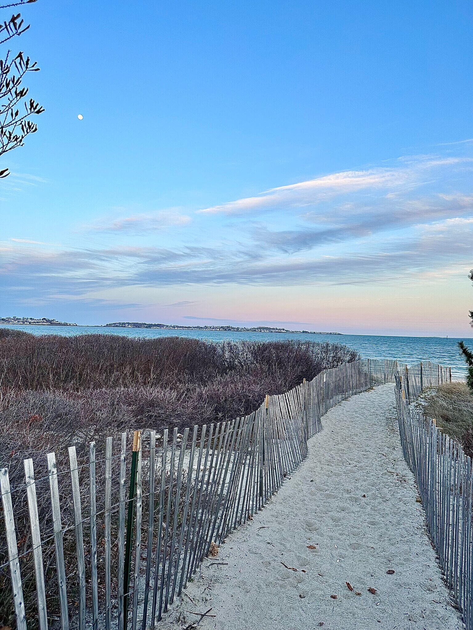 Building Photo - 58 Bickford Ave