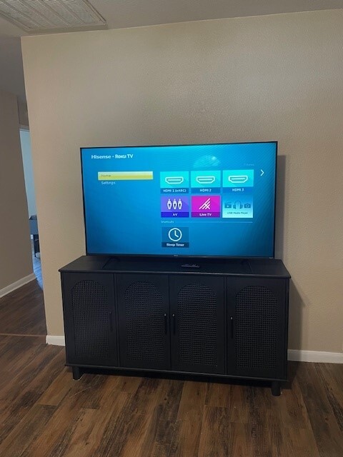 Large flat screen in living room - 20831 Pine Island Rd