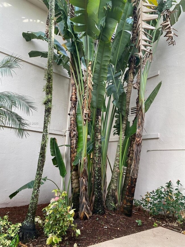 Building Photo - 8411 Forest Hills Dr