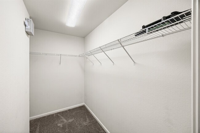 Building Photo - 1651 Grable Cove Ln