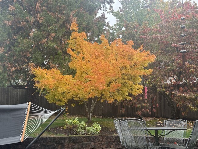 Building Photo - 17927 Ridge Lake Dr