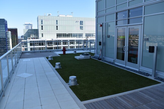 Building Photo - Spacious Luxury One Bedroom - Insignia