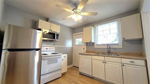 Building Photo - 237 Vinet Ave