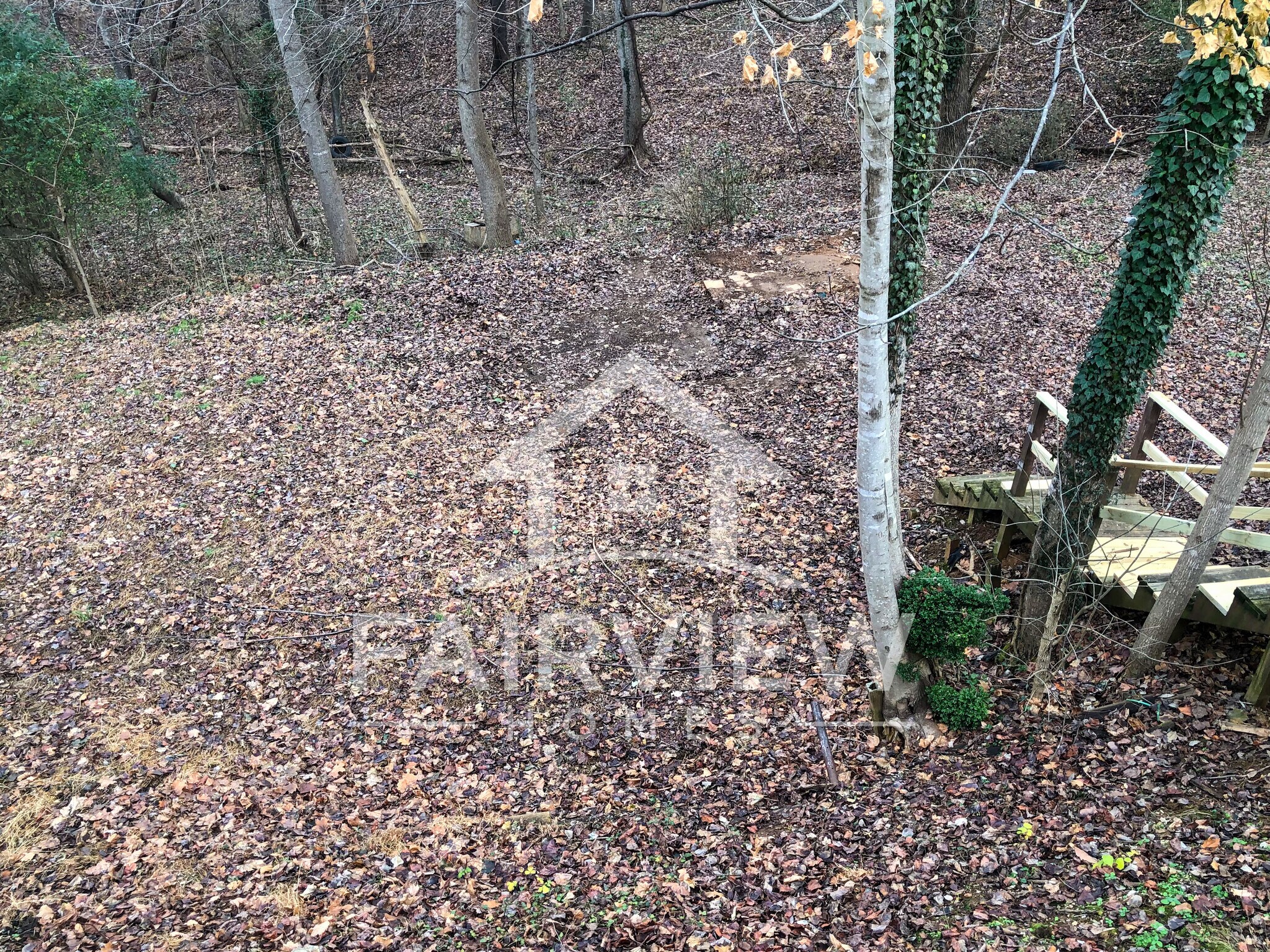 Back Yard - 3520 Demott St