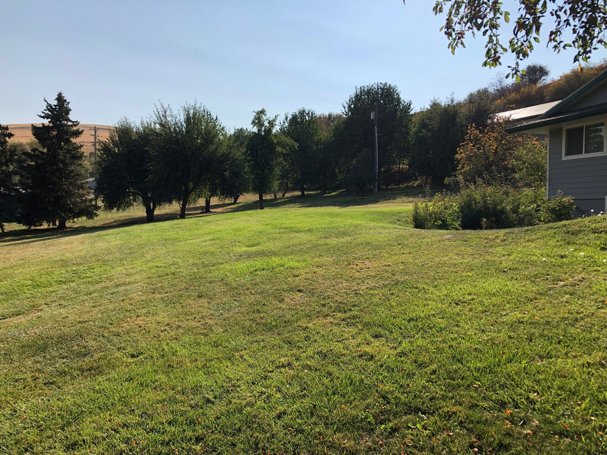 Building Photo - 3551 Ewartsville Rd