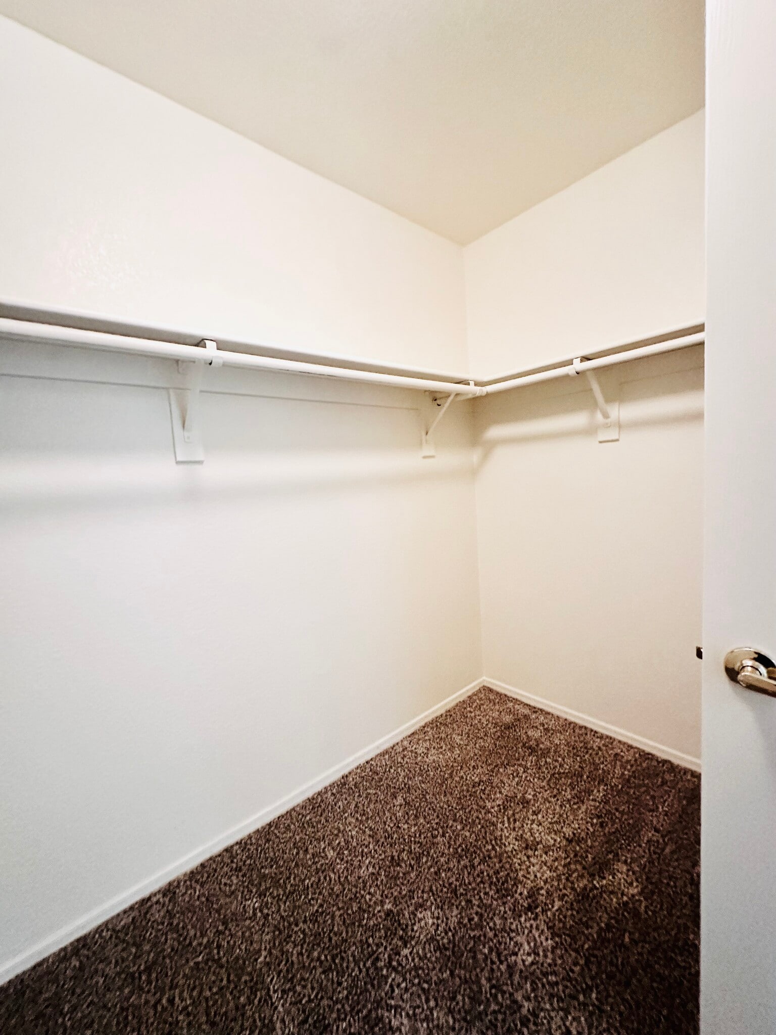 Large walk-in closet - 3030 N Hayden Rd
