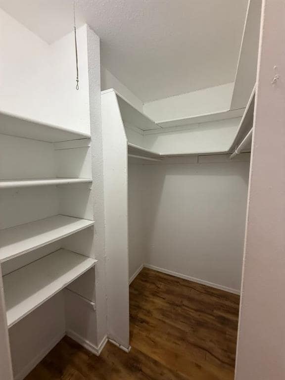 Building Photo - 2811 Crownspoint Dr