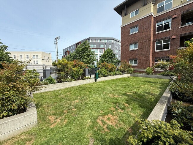 Building Photo - Modern 1BR Condo with Luxury Amenities in ...