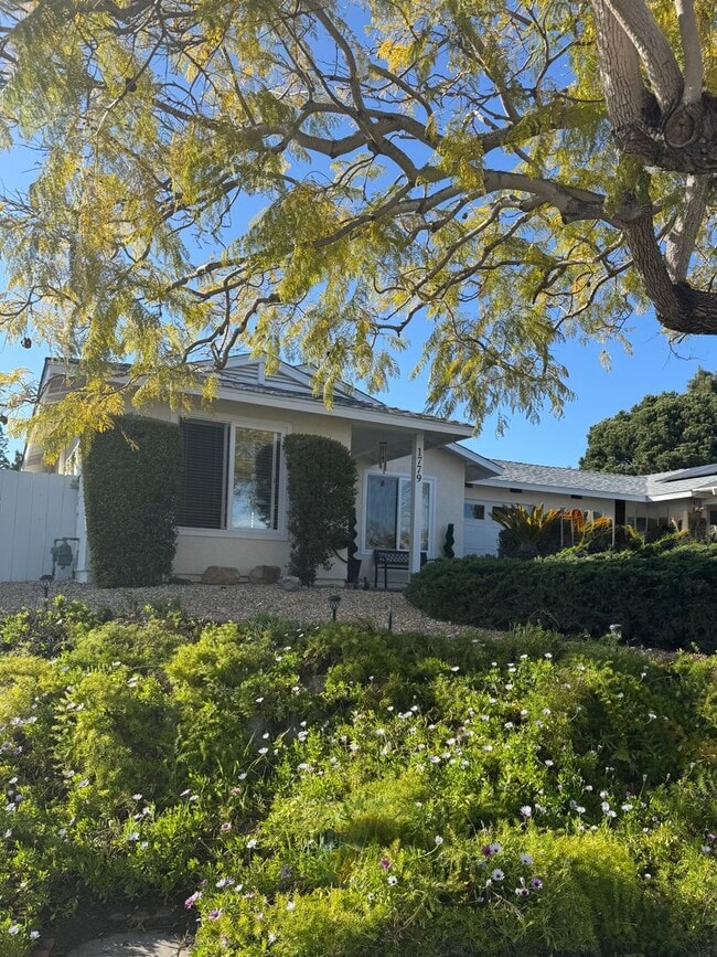 Building Photo - +55 Community, 2 BD with AC
