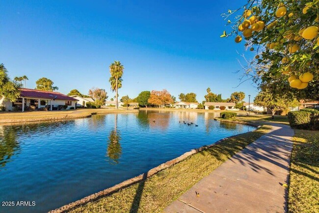 Building Photo - 839 Leisure World