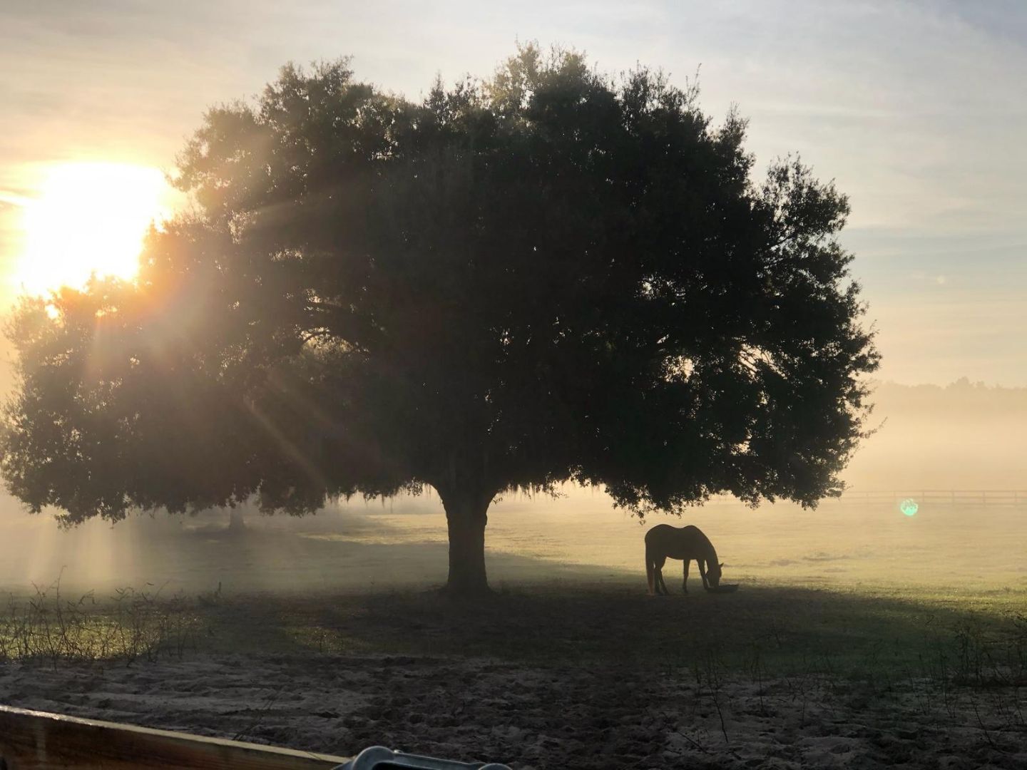 Ranch at sunrise - 5212 Bertsville Rd