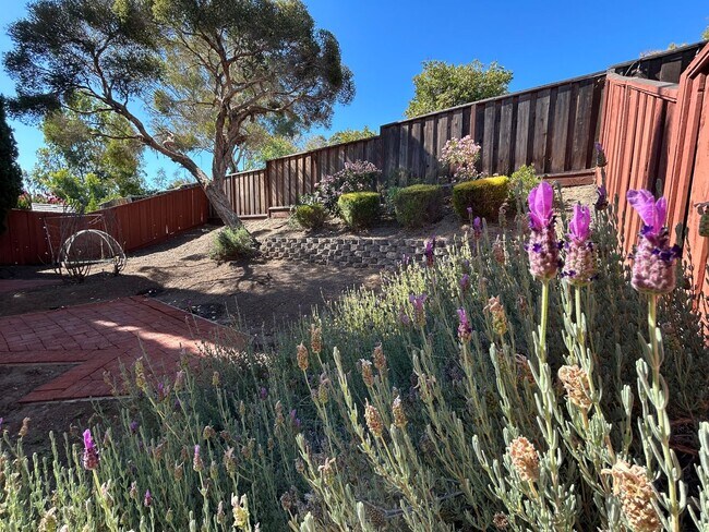 Building Photo - Beautiful Two-Story Home in Village Oaks, ...