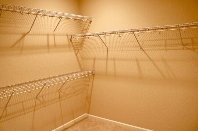 Building Photo - Beautiful home in Brentwood with SOLAR!