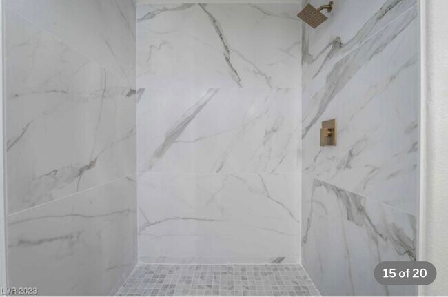 Fully Renovated Shower - 830 Carnegie St