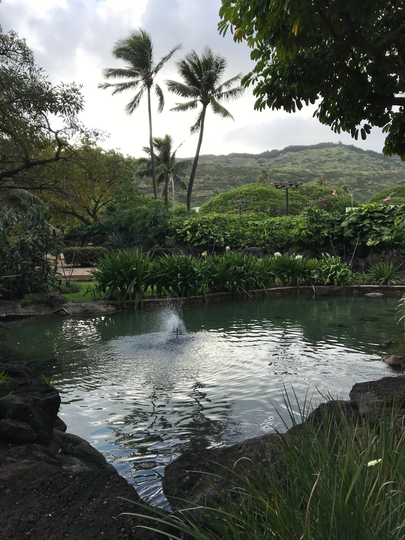 Building Photo - 501 Hahaione St