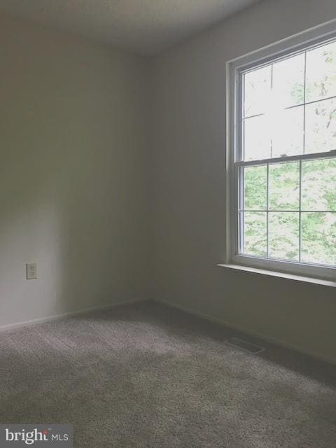 Building Photo - 1542 Pin Oak Dr