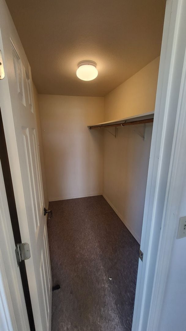 Building Photo - 3 Bed 2 Bath Single level - Horse Property...