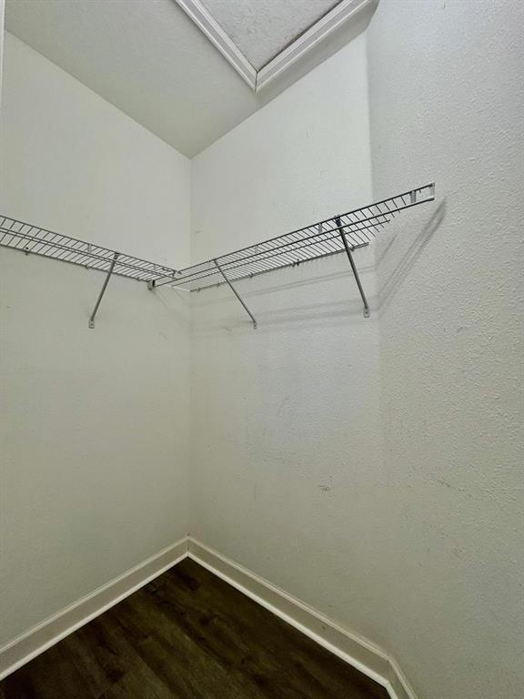 Building Photo - 11576 Whistling Pne Wy