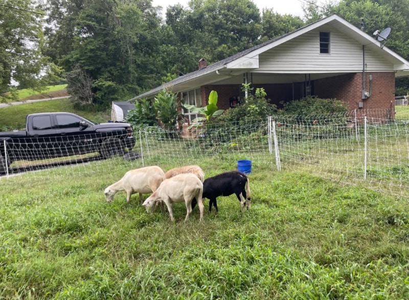 Building Photo - 525 Short Creek Rd