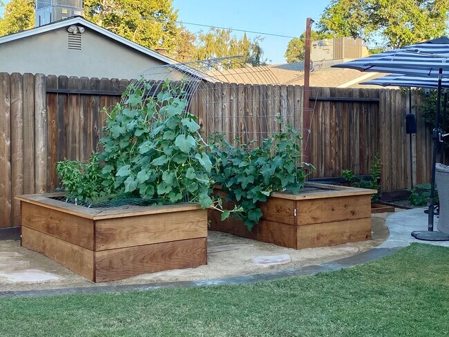 Building Photo - 1713 El Paseo Dr