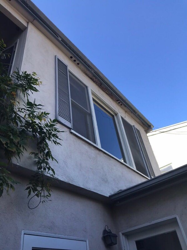 Front Window - 1254 14th St