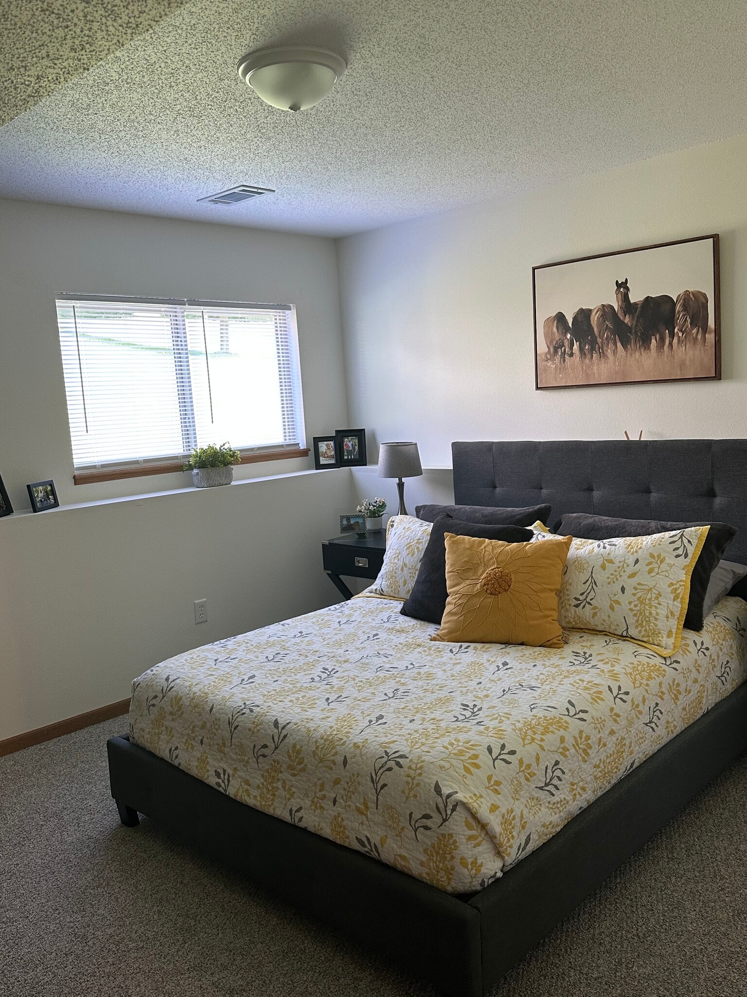 Lower Level 3rd Bedroom - W6040 Bucklin Rd