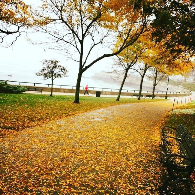 Building Photo - 295 Lynn Shore Dr