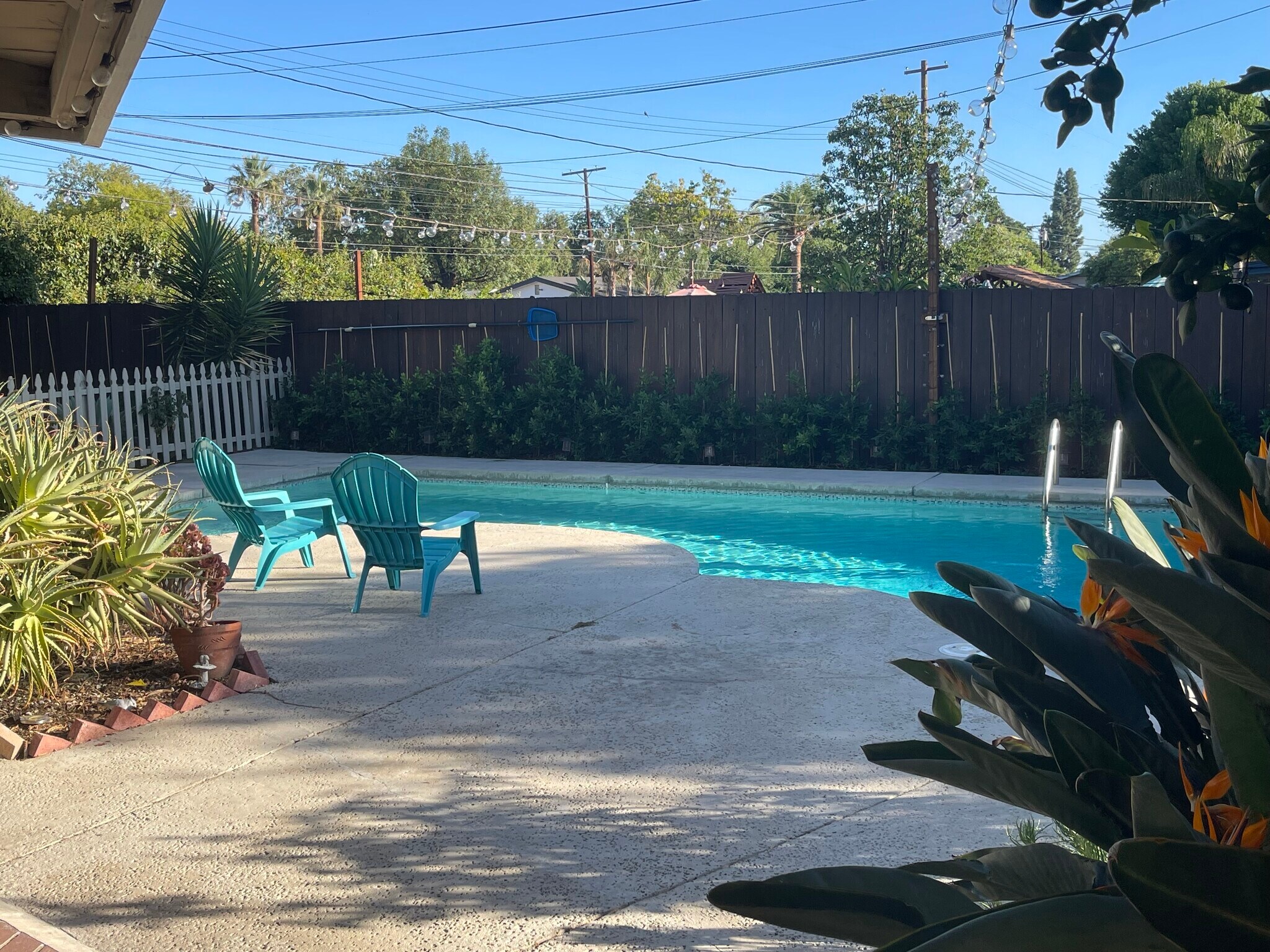 Backyard and pool - 16420 Minnehaha St