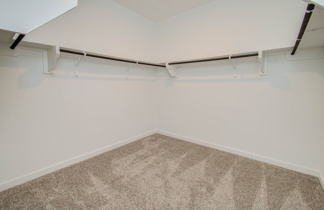 Building Photo - 10011 Angelina Wds Ln