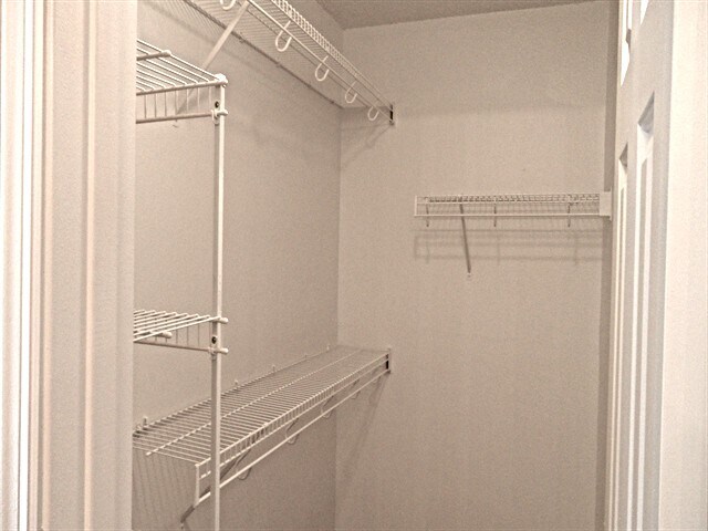 Building Photo - 555 Whiskey Creek Ct