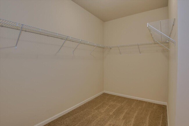 Building Photo - 2417 Sunflower Dr