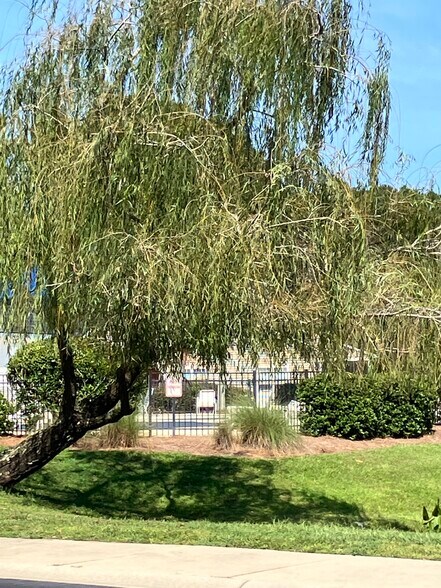 Common grounds - 119 South St