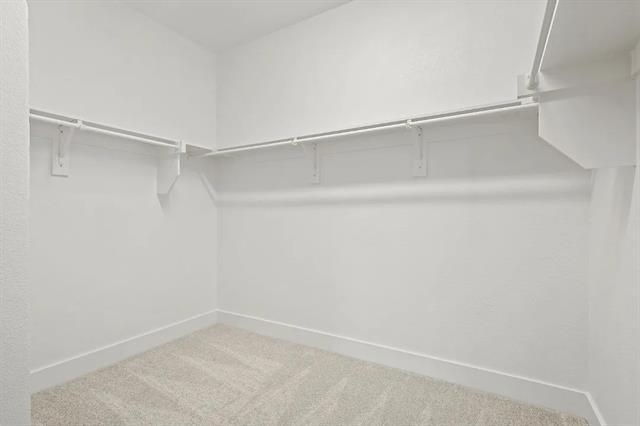 Building Photo - 3821 Ablon Trail