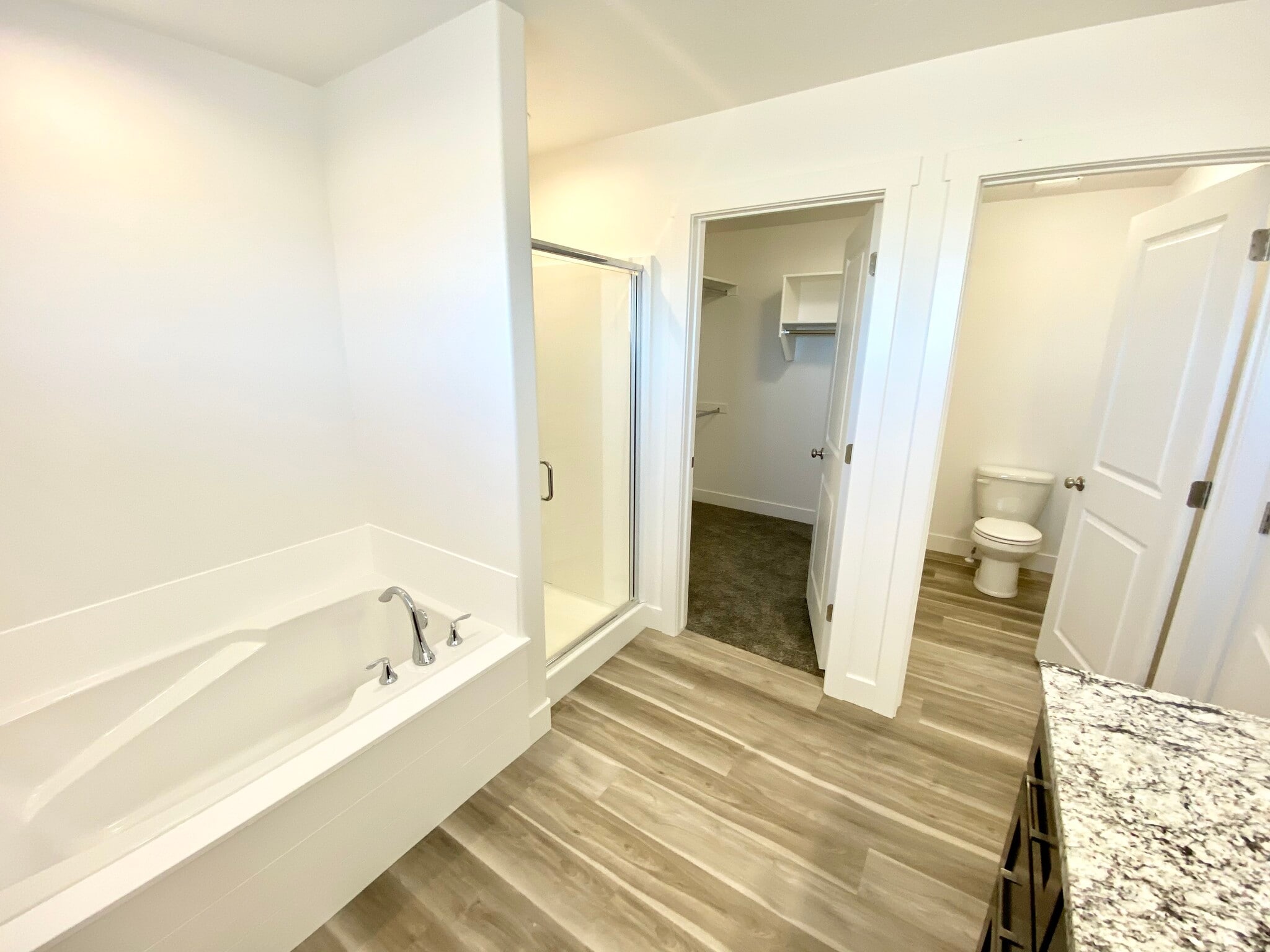 Master tub, shower, closet, toilet - 2035 N 350 E