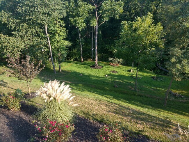 Building Photo - 7041 Woodsman Dr