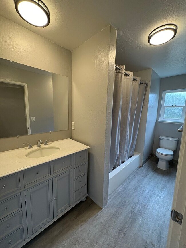 Building Photo - 425 Plum St