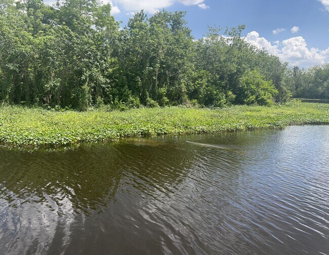 Building Photo - Wonderful remodeled Waterfront Condo == Great I-4 location with Community Pool