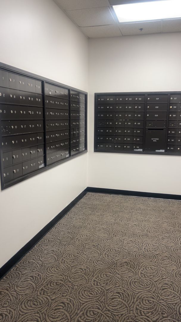 Building Photo - 2BR/1BA | Newly Renovated Condo!