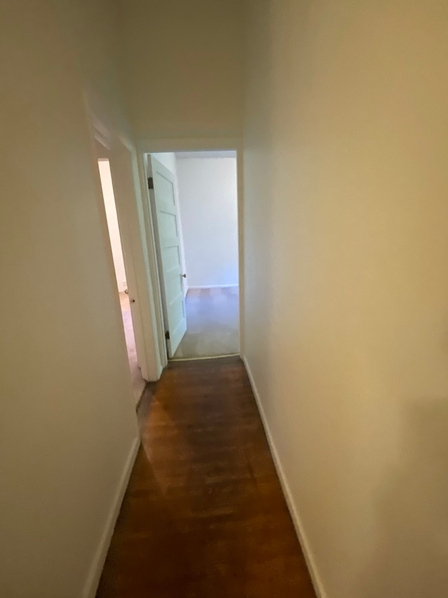 Building Photo - 514 Ivy St