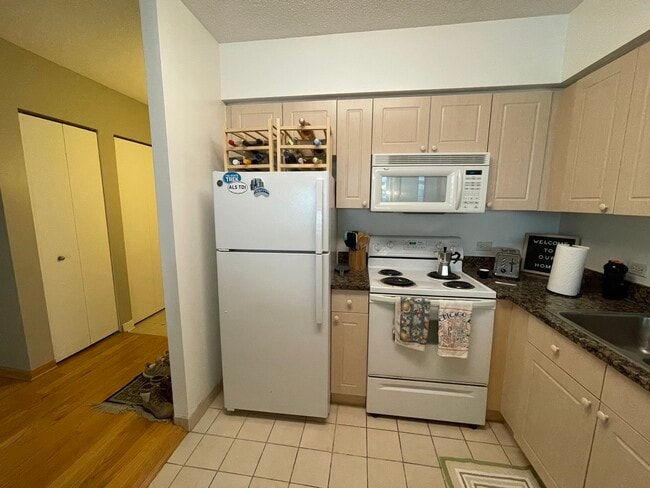 Building Photo - 512 N McClurg Ct