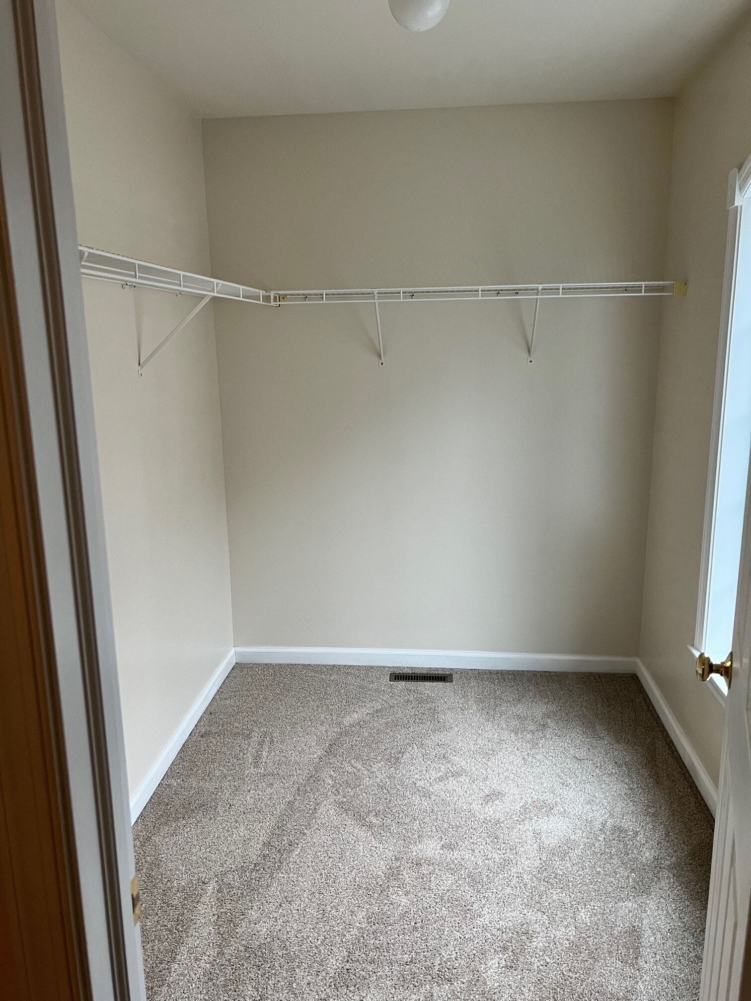 Building Photo - 813 Berne Ct