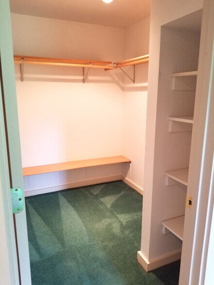 Basement Bedroom - walk-in closet - 3023 University Dr