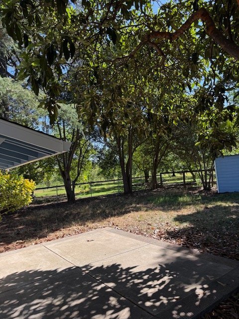 Building Photo - 941 Liberty Ln