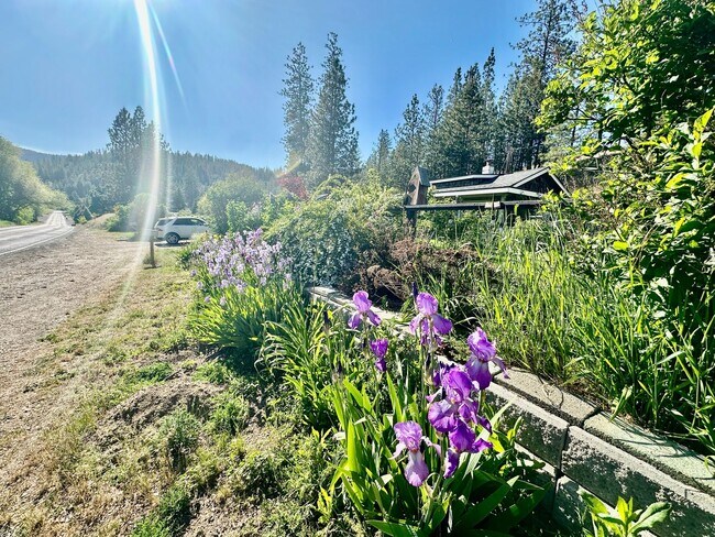 Building Photo - Charming 1 bed 1 bath Long Lake Cabin Retreat